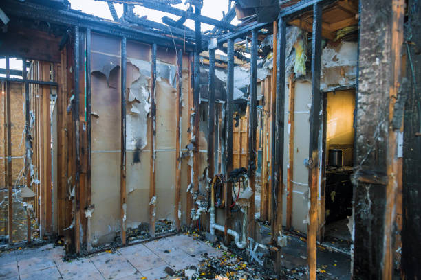 Professional Soot Cleanup technician working in Wauchula, FL